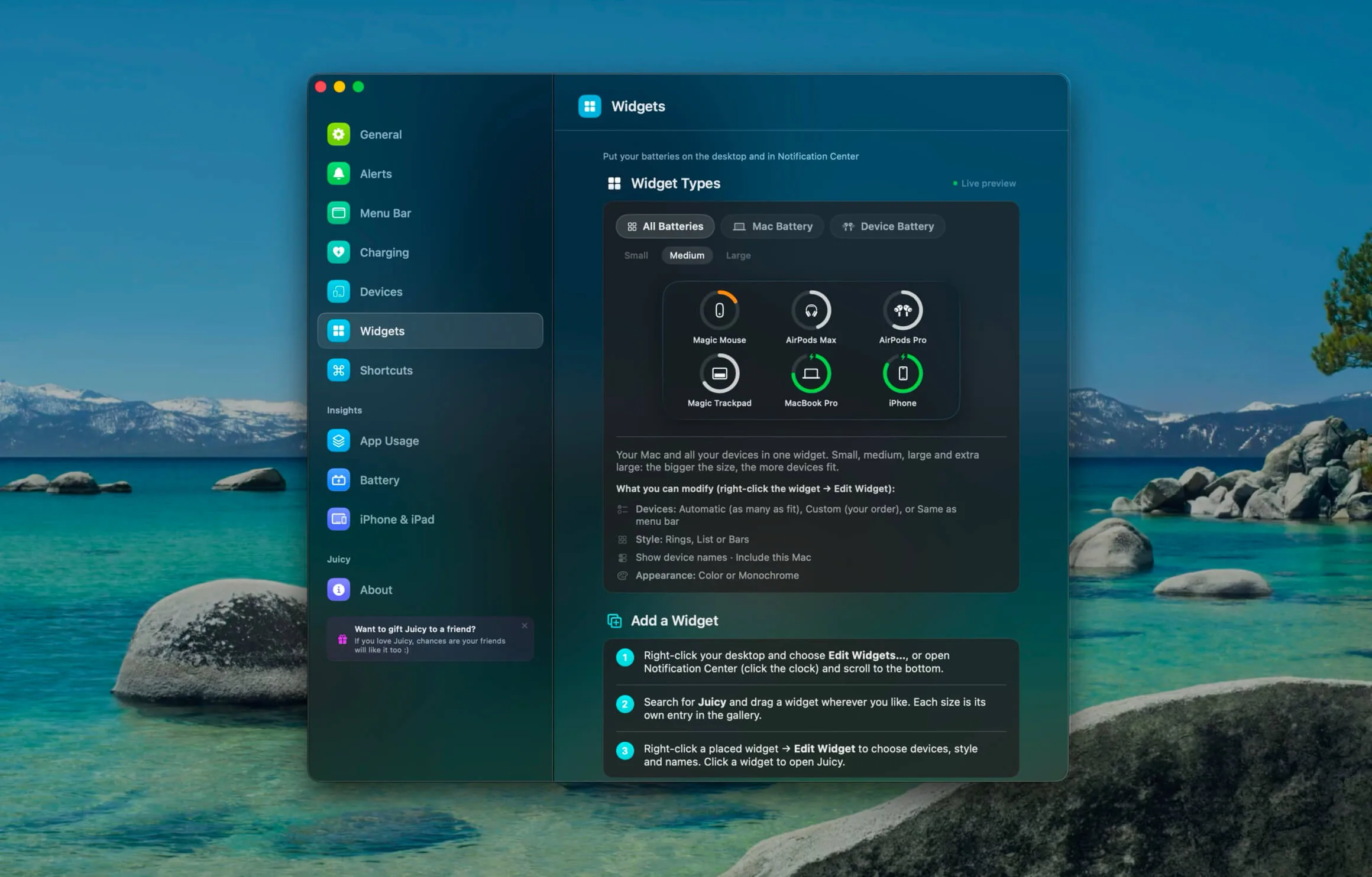 Juicy Settings, Widgets page with the live previews 